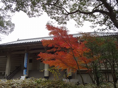 DSC01153.jpg