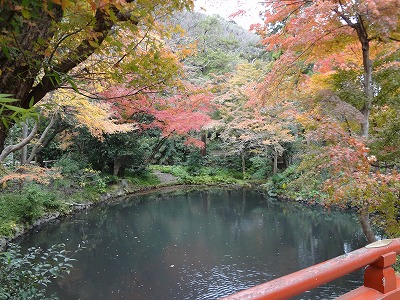 DSC01157.jpg